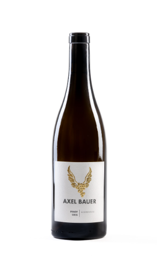 Pinot Noir " Meisterstück" trocken